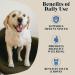 Goats Milk Powder for Dogs & Cats | Create Delicious Goats Milk | Each Pack Makes 6 Pints - Buy Online on SooperMarket.com