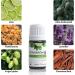 Pranarom Tranquility Essential Oil Diffusion Blend - 5ml | Relax & Unwind - Buy Online on SooperMarket.com