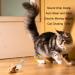 2 Pack Interactive Cat Toys - Feather Squeaky Bird & Mouse Kitten Plush Toys - Motion Activated Melody Chaser - Ideal for Indoor Cats - Three Dogs & A Cat - Buy Online on SooperMarket.com