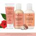 Buy Convenience Kits International Women s 13 pc Multicultural Travel Kit - Travel-Size Hair & Body Products - Buy Online on SooperMarket.com