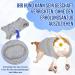 Slowton Dog Recovery Suit - Soft Breathable Anti-Wound Licking Zipper Suit for Male Dogs After Surgery - Comfortable E-Neck Band Gray - Buy Online on SooperMarket.com