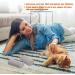 2-Piece Pet Hair Removal Tool | Bimsstein Foot Care & Corneal Remover | Easy Clean Carpet Couch & Furniture - 4 Inches - Buy Online on SooperMarket.com