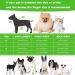 2 Piece Clear Pet Dog Raincoat Hooded Rain Jacket for Small Medium Dogs - Blue/Green S - Buy Online on SooperMarket.com