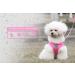 Pet's Playground XS Pink Small Dog Harness for Puppies - UK | Dog Harness for Small Dogs - Buy Online on SooperMarket.com