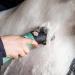 Lister Star Horse Clipper - Green Professional Animal Clipper Clippers for Horses & Cattle Farm Supplies Lightweight Low Vibration Corded 5m Cable Medium Duty Clipping 240 Volts Green with Hard Case - Buy Online on SooperMarket.com
