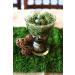 Green Moss Roll for Fairy Gardens, Weddings & Crafts - 10x120cm (4''W x 48''L) - Buy Online on SooperMarket.com