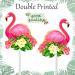 Tropical Flamingo Cupcake Toppers - Buy Online on SooperMarket.com
