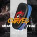 Flexzion Blue Curved Muay Thai Kick Pad for MMA, Karate, Taekwondo - Adjustable Forearm Strap - Buy Online on SooperMarket.com