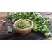 Club House Quality Natural Herbs and Spices Ground Sage 340g 340 g (Pack of 1) - Buy Online on SooperMarket.com