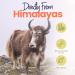 Himmaleh Yak Chews for Dogs - Yak chews for dogs Large (pack of 2) - Protein Rich Dog Chews Long Lasting Natural - yak milk dog chew - Toothsome Yak Bars for Dogs - Himalayan dog chews - Yak Snack - Buy Online on SooperMarket.com