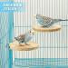 Reyshin Bird Seating Board Set - 4 Pieces Bird Playground Accessories with 5 Rat Balls for Budgies Canaries and Lovebirds - Ideal Bird Cage Toys - Buy Online on SooperMarket.com