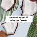Love Beauty And Planet Deodorant Coconut & Mimosa Flower 2.95 Oz - Pack of 4 - Buy Online on SooperMarket.com