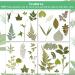 TimTin 84 Pieces Dried Leaves and Flowers Resin Craft Kit - Assorted Greenery for DIY Handmade Bookmarks - Vivid Style - Buy Online on SooperMarket.com