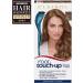 Clairol Root Touch-Up Hair Dye 6 Light Brown - 1 Count, Pack of 1 - Buy Online on SooperMarket.com