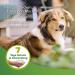 Beaphar Tick & Flea Protection Shampoo for Dogs & Cats - 250ml | 7 Days Repellent for Healthy Fur & Fresh Fragrance - International Shipping Available - Buy Online on SooperMarket.com