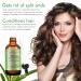 100% Organic Rosemary Oil for Hair Growth | Nourish Scalp & Stimulate Hair Growth with Essential Oil & Massager - Buy Online on SooperMarket.com