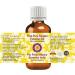 Deve Herbes Pure Peru Balsam Essential Oil 30ml - Natural Therapeutic Grade Steam Distilled - 1 oz Bottle - Buy Online on SooperMarket.com
