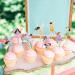 Cyodoos24 PCS Fairy Cupcake Toppers Flower Fairy Party Cupcake Toppers Fairies Party Cake Picks Garden Birthday Party Decorations for Elves Theme Baby Shower Supplies - Buy Online on SooperMarket.com