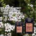 Taylor Pass Honey Co. Manuka Honey MGO83+ UMF5+ 500g | Sustainable New Zealand Honey | (Manuka UMF5+/MGO83+) - Buy Online on SooperMarket.com