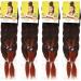 X-Pression 60 INCH XPRESSION LAGOS BRAID PRE-PULLED/PRE-STRETCHED Hair Extension 60'' 2 In A Pack (Colour T1/350 Black/Copper Red Mix) Heat Resistant Tangle Free 1 count Black Copper red 1 - Buy Online on SooperMarket.com