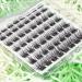Cluster Lashes Individual Eyelashes C Curl Lash Clusters Soft and Reusable Eyelashes Individual DIY Lash Extensions 8mm 10mm 12mm 14mm by Obeyalash (Mix 8-14mix C Curl Natural-Violet) 5-WL-011 - Buy Online on SooperMarket.com