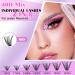 LASH Extension Set B & Q - 280 PCs Eyelash Extensions 9-16Mix | 40D Ocitanian Set with Eyeliner Glue Remover & Applicator for Beginners - Buy Online on SooperMarket.com