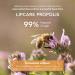 Apivita Lipcare Propolis 4.4 g - Buy Online on SooperMarket.com