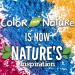 McCormick Nature's Inspiration Food Colors 0.51 oz - Vibrant and Natural Dyes - Buy Online on SooperMarket.com