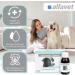 Alfavet Reconvales Tonicum for Dogs | Appetizing Supplementary Feed for Convalescence & Weight Gain | 6 x 90 ml Bottles - International Shipping Available - Buy Online on SooperMarket.com
