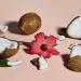 SheaMoisture Illuminating Coconut and Hibiscus Body Scrub 12 oz - Cruelty-Free Skin Care - Buy Online on SooperMarket.com