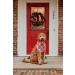 Lionheart Glory Dog Halter Adjustable Cotton Christmas Neckerchief for Large Dogs | Red Dog Kerchief | 1 Pack - Buy Online on SooperMarket.com
