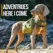 OneTigris Hoppy Camper 2.0 Dog Backpack - Tearproof Camping & Hiking Gear for M/L Size Dogs (Large Ranger Green) - Buy Online on SooperMarket.com