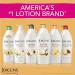 Jergens Shea Butter Lotion 8 oz - Deep Moisturizing & Nourishing Skin Care | International Shipping Available - Buy Online on SooperMarket.com