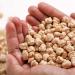 TRS Chick Peas 1 Kg - Buy Online on SooperMarket.com