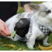 FuninCrea Dog Treat Pouch Bag with Poop Bag Dispenser - Oxford Cloth Training Bag for Walking & Travel (Black) - Buy Online on SooperMarket.com