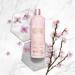 Baylis & Harding Elements Body Wash Bundle - White Tea & Neroli, Pink Blossom & Lotus Flower - 6 x 500ml Bottles - Vegan Friendly - Buy Online on SooperMarket.com
