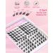 Outopen Manga Lash Clusters Fox Eye Lashes - DIY Lash Extension Kit with C Curl Natural Wispy Fairy Lashes Bond & Seal Tweezers | Shop Internationally - Buy Online on SooperMarket.com