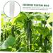 CIYODO 2pcs Vegetable Shaping Mold Cucumbers Cucumber Growing Mould Vegetable Growing Mold Accessories - Buy Online on SooperMarket.com