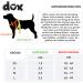DDOXX Air Mesh Step-In Dog Harness - Adjustable XS Puppy Harness for All Sizes | Comfortable & Breathable (Orange 1.5 x 32-44 cm) - Buy Online on SooperMarket.com