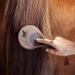 Animalon Mane and Tail Brush for Horses | Premium Horse Care Accessories | Durable Mane and Tail Comb in Brown - Buy Online on SooperMarket.com