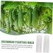 Happyyami 4 Pcs Vegetable Shaping Mold Fruit Cucumbers Mold Shaping Vegetable Forming Mould Mushroom Modeling - Buy Online on SooperMarket.com