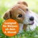 ARDAP Tick & Flea Protection Collar for Dogs 10-25kg | 4-Month Natural Defense | Sustainable 60cm Collar - Buy Online on SooperMarket.com
