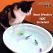 Interactive Swimming Robot Fish Toy for Cat with LED Light (4 pcs) BlackHole Litter Mat Cat & Dog Toy to Stimulate Your Cat's Hunter Instincts - Buy Online on SooperMarket.com