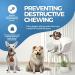 Fur & Bone 10 Pack Dog Rope Toy Dog Chew Toys for Aggressive Chewers - Cotton Puppy Toys | Dog Toys Indestructible for Dog Chews | Dog Toy Indestructible Dog Toys Dog Accessories Chew Toys for Dogs - Buy Online on SooperMarket.com