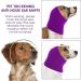CoBee Soothing Earmuffs for Dogs | Noise Protection Ear Flap Head Wrap - XL Violet | Comfort & Care for Bathing - Buy Online on SooperMarket.com
