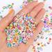 CCINEE Nail Art Slices 3D Assorted Fruit Slices Animal Flower Polymer Clay Slices for Slime Craft 4500PCS 1/5 Inch Style 1 - Buy Online on SooperMarket.com