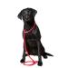 Dog & Field Deluxe Gundog Slip Lead (Red) Super Soft Braided Nylon with Rubber Stopper - One Size Fits All and Suitable For All Breeds of Dog with 4 Colour Options (Red)