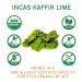 INCAS 100% USDA Organic Kaffir Lime Leaves 0.53 oz - Non GMO, Authentic Taste from Thailand - Whole Leaves for Thai Cuisine - Buy Online on SooperMarket.com