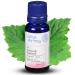 Lotus Aroma Premium Grade Peppermint Essential Oil 100% Pure & Undiluted Relaxing Scent Peppermint Essential Oils For Humidifier Aromatherapy Oil Fragrance Oils - Huile Essentielle 0.5oz (15ml)