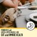 Premium Senior Dog Food for Dogs 7+ Years | Nutritious & Easy to Digest - Buy Online on SooperMarket.com